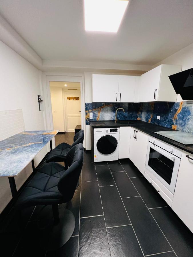 Souterrain 2 Zimmer Wohnung Freiburg Seepark Екстер'єр фото